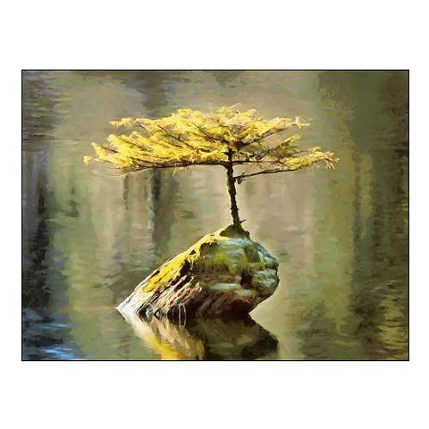 Small Tree on a Rock in the Lake