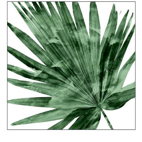 Tropical Green Palm IV