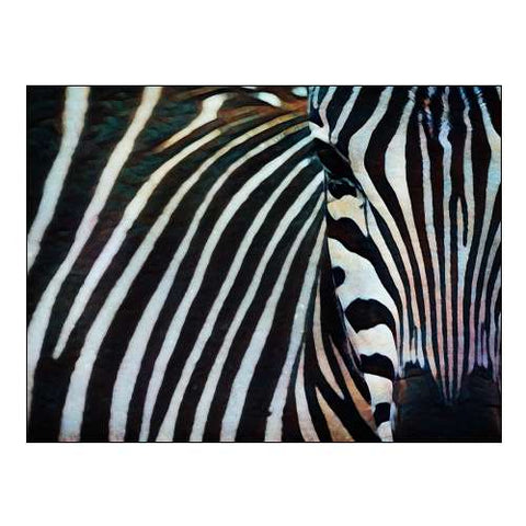 Black and White Zebra Stripes I