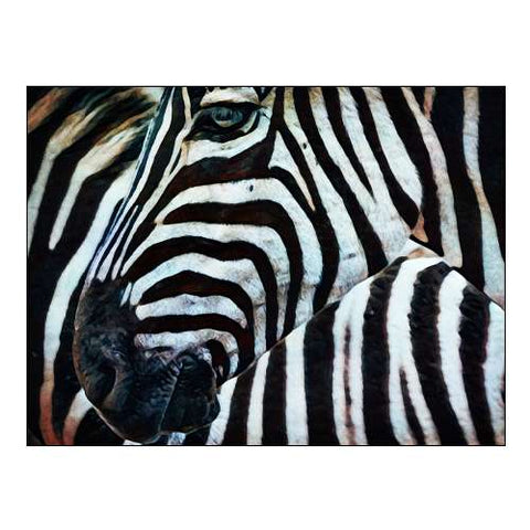 Black and White Zebra Stripes II