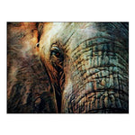 African Elephant Wise Eyes