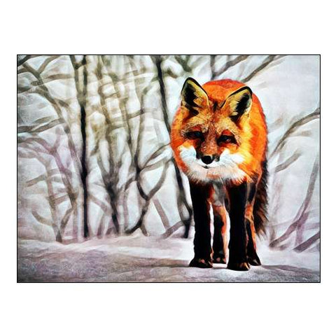 Red Fox Fascination