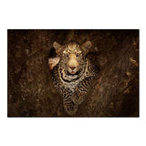 Leopard Resting on a Tree at Masai Mara