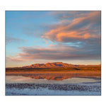 Crane Pool at Bosque del Apache NWR -NM