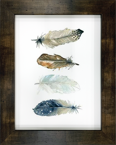 Feather Collection