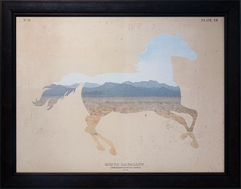 American Southwest Horse: Framed with Glass