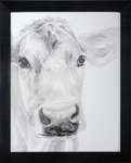 Farm Faces I: Framed with Glass