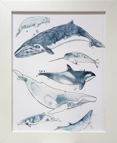 Cetacea I: Framed with Glass