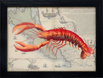 Lobster Print on Nautical Map: Framed with Glass