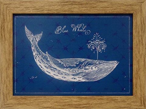 Blue Whale: Framed and Texturized Art Print