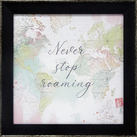 Never Stop Roaming: Framed with Glass