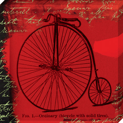 Bicycle II: Gallery Wrapped Canvas