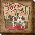 Farm Fresh Cow: Gallery Wrapped Canvas (2 Sizes)