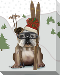 English Bulldog, Skiing: Gallery Wrapped Canvas (2 Sizes)
