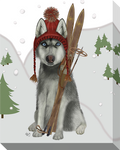 Husky Skiing: Gallery Wrapped Canvas (2 Sizes)
