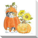Halloween Pets - Cat Pumpkin: Gallery Wrapped Canvas