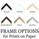 Paper Palette I