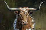 Longhorn