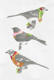 Woodland Holiday Birds